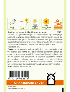 OBZ DIANTHUS, DUIZENDSCHOON DUBBELBLOEMIG GEMENGD