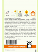 OBZ MYOSOTIS, VERGEET-MIJ-NIET VICTORIA, BLAUW OBZ MYOSOTIS, VERGEET-MIJ-NIET VICTORIA, BLAUW