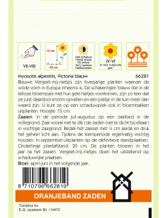 OBZ MYOSOTIS, VERGEET-MIJ-NIET VICTORIA, BLAUW