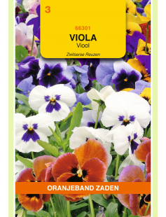 OBZ VIOLA, VIOOL ZWITSERSE REUZEN GEMENGD