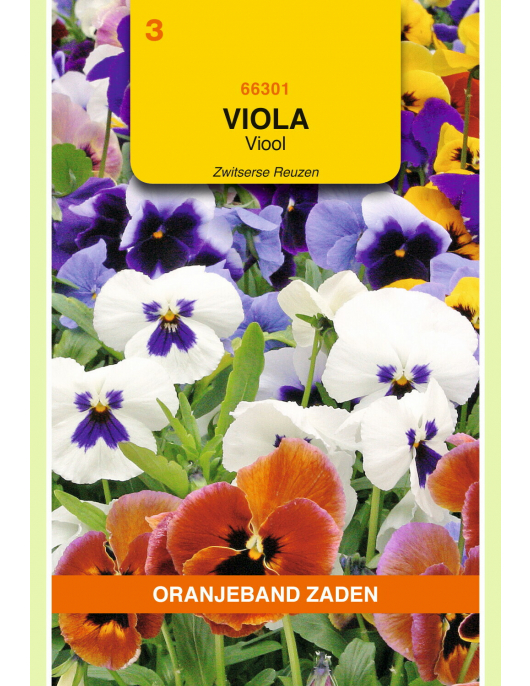 OBZ VIOLA, VIOOL ZWITSERSE REUZEN GEMENGD OBZ VIOLA, VIOOL ZWITSERSE REUZEN GEMENGD