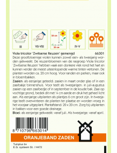 OBZ VIOLA, VIOOL ZWITSERSE REUZEN GEMENGD