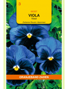 OBZ VIOLA, VIOOL ALPENMEER