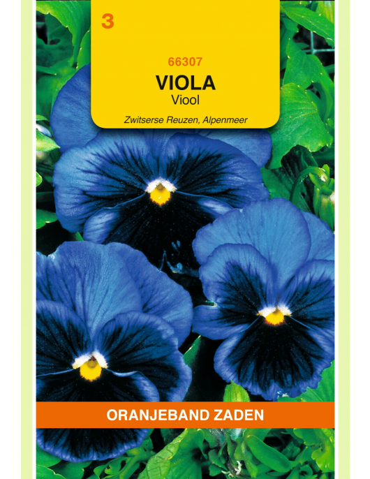 OBZ VIOLA, VIOOL ALPENMEER