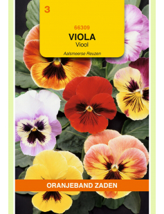 OBZ VIOLA, VIOOL AALSMEERSE REUZEN GEMENGD