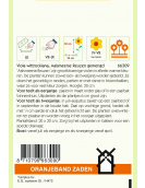 OBZ VIOLA, VIOOL AALSMEERSE REUZEN GEMENGD