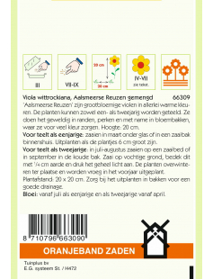 OBZ VIOLA, VIOOL AALSMEERSE REUZEN GEMENGD