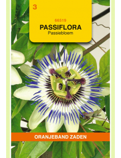 OBZ PASSIFLORA, PASSIEBLOEM