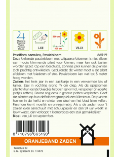 OBZ PASSIFLORA, PASSIEBLOEM