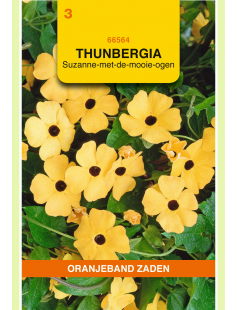 OBZ THUNBERGIA, SUZANNE-MET-DE-MOOIE-OGEN