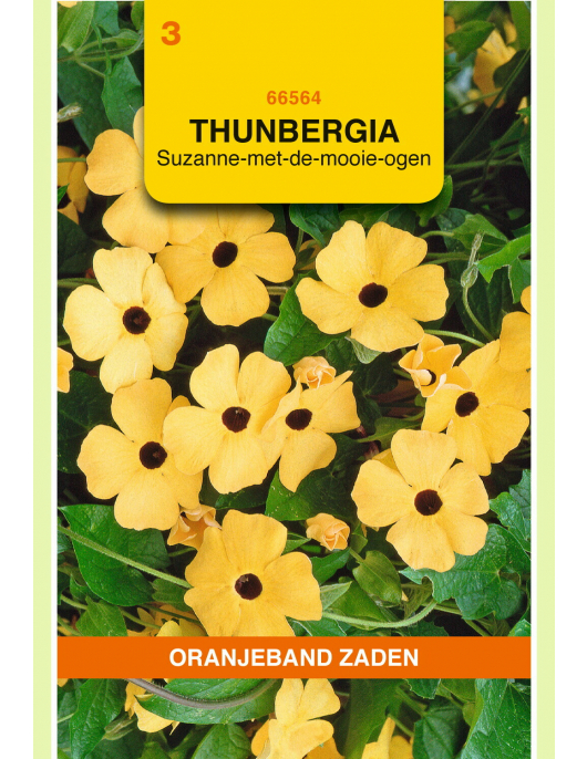 OBZ THUNBERGIA, SUZANNE-MET-DE-MOOIE-OGEN