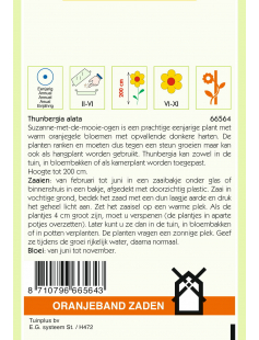 OBZ THUNBERGIA, SUZANNE-MET-DE-MOOIE-OGEN