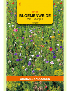 OBZ VAN TUBERGEN BLOEMENWEIDE MENGSEL
