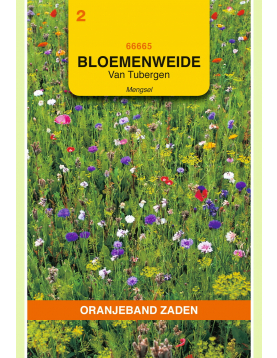 OBZ VAN TUBERGEN BLOEMENWEIDE MENGSEL