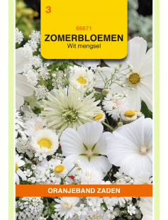 OBZ ZOMERBLOEMEN MENGSEL, WIT