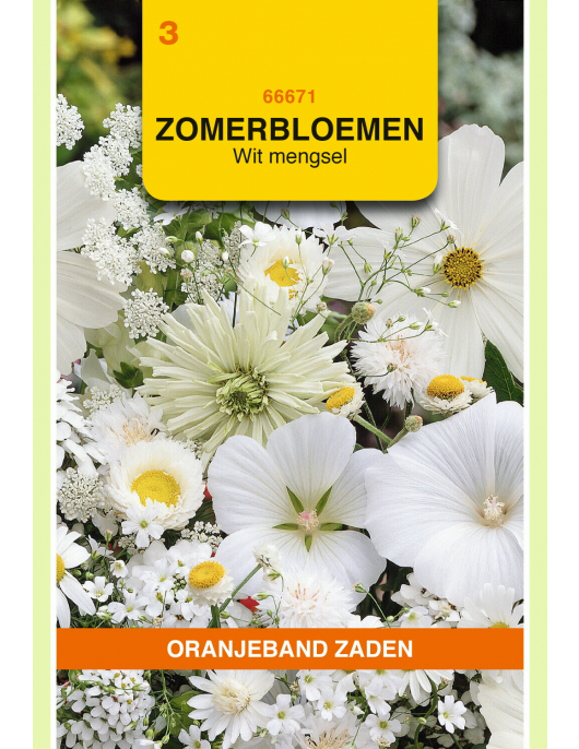 OBZ ZOMERBLOEMEN MENGSEL, WIT