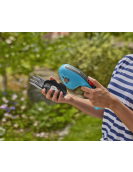 SET CLASSICCUT LI INCL. BUXUSMES