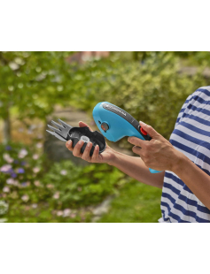 SET CLASSICCUT LI INCL. BUXUSMES