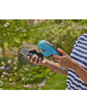 SET CLASSICCUT LI INCL. BUXUSMES