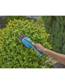 SET CLASSICCUT LI INCL. BUXUSMES