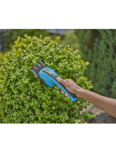 SET CLASSICCUT LI INCL. BUXUSMES