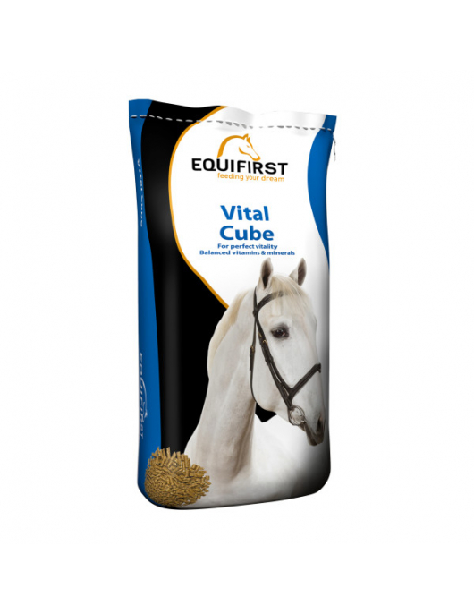 EQUIFIRST (502002) VITAL CUBE 20 KG