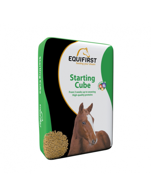 EQUIFIRST (502019) STARTING CUBE 20 KG