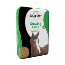 EQUIFIRST (502020) GROWING CUBE 20 KG