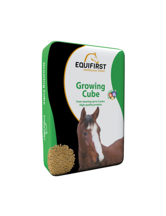EQUIFIRST (502020) GROWING CUBE 20 KG