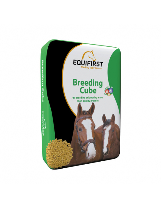 EQUIFIRST (502018) BREEDING CUBE 20 KG