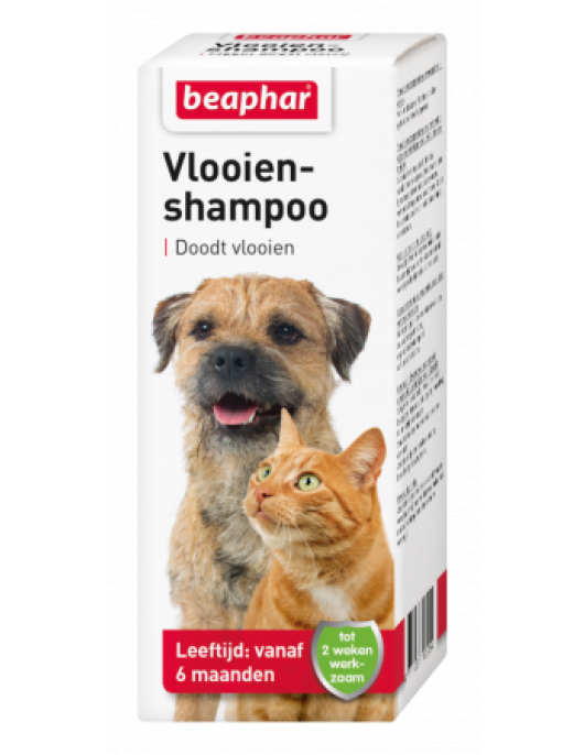 BEA VLOOIENSHAMPOO HOND 100 ML