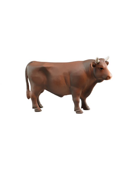 STIER 1:16