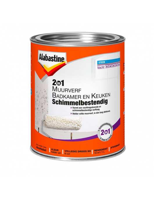 AB 2IN1 MUURVERF B&K 1L