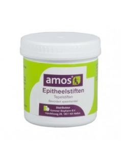 AMOS EPITHEELSTIFTEN