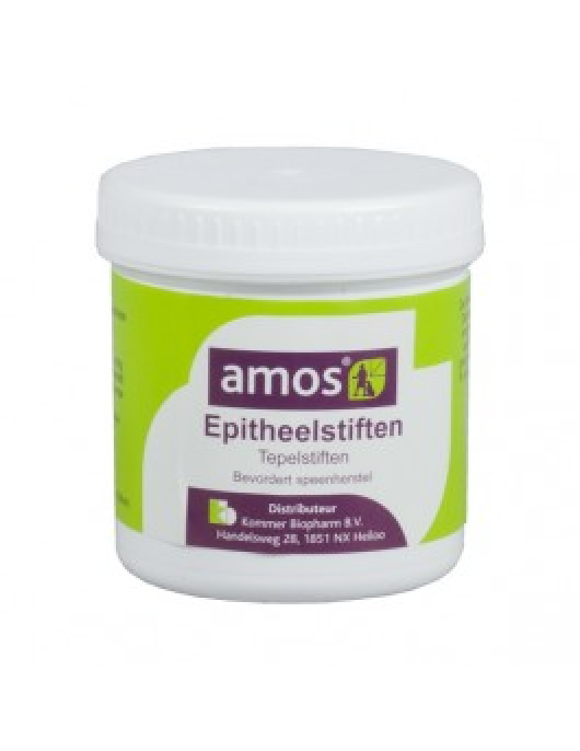 AMOS EPITHEELSTIFTEN