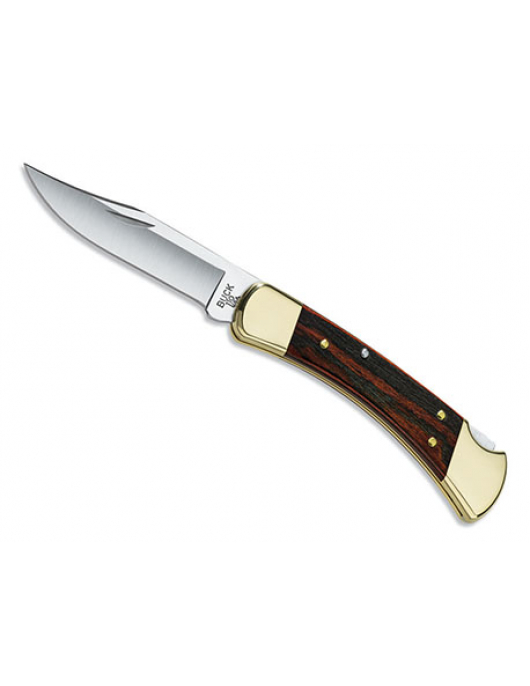 BUCK 110 FOLDING HUNTER