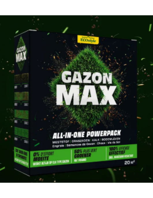 GAZON MAX 1 KG