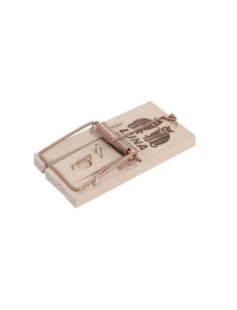 MUIZENVAL KLEM LUNA 1 X 1 ST.