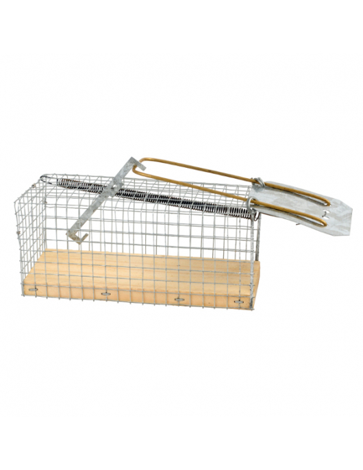 VANGKOOI MUIS HOUTEN BODEM