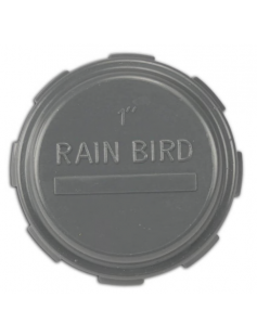 RAIN BIRD EINDKAP PVC 1" BINNENDRAAD 10BAR GRIJS RAIN BIRD EINDKAP PVC 1" BINNENDRAAD 10BAR GRIJS