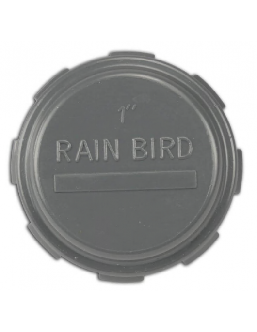 RAIN BIRD EINDKAP PVC 1" BINNENDRAAD 10BAR GRIJS