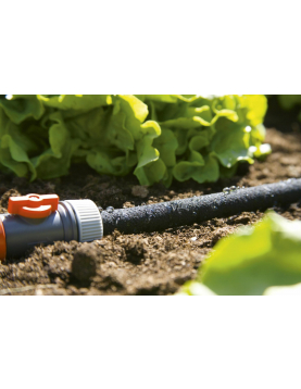 DUIZENDDRUPPELSL.7,5M