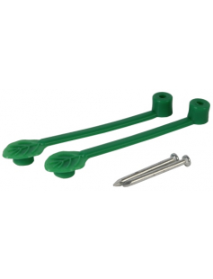 CLEMATISKLEMMEN 12 STUKS