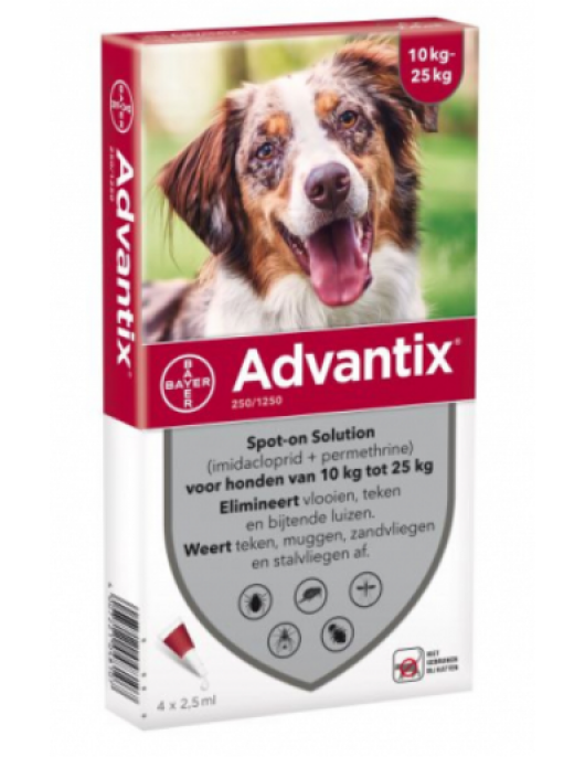 ADVANTIX 250 ( 10 - 25 KG ) 4 PIPET -SB-