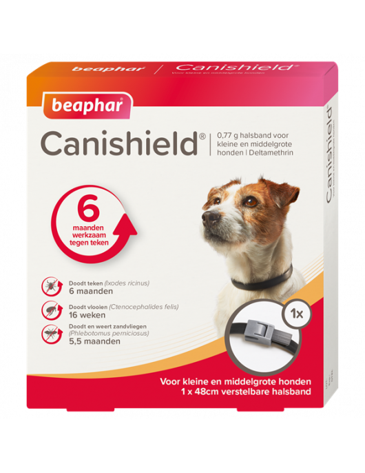 BEA CANISHIELD HOND KLEIN / MIDDEL