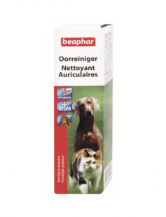 BEA OORDRUPPELS 50 ML