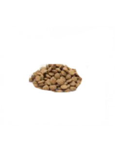 JUNIOR BROKKEN &quot;EIGEN MERK&quot; 10 KG