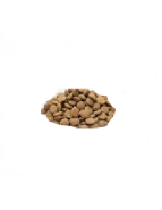 JUNIOR BROKKEN "EIGEN MERK" 10 KG