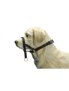 BZ DOG CONTROL M ZWT