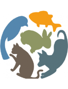 BZ DOG CONTROL XXL ZWT